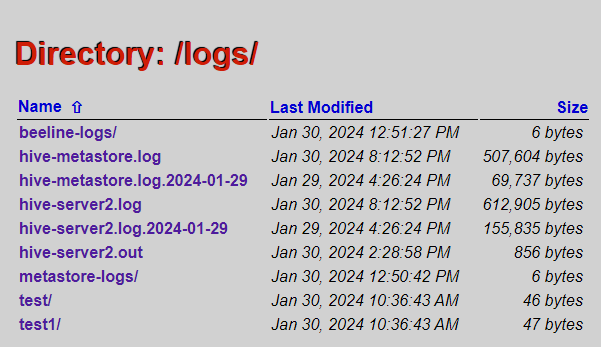 Local logs page